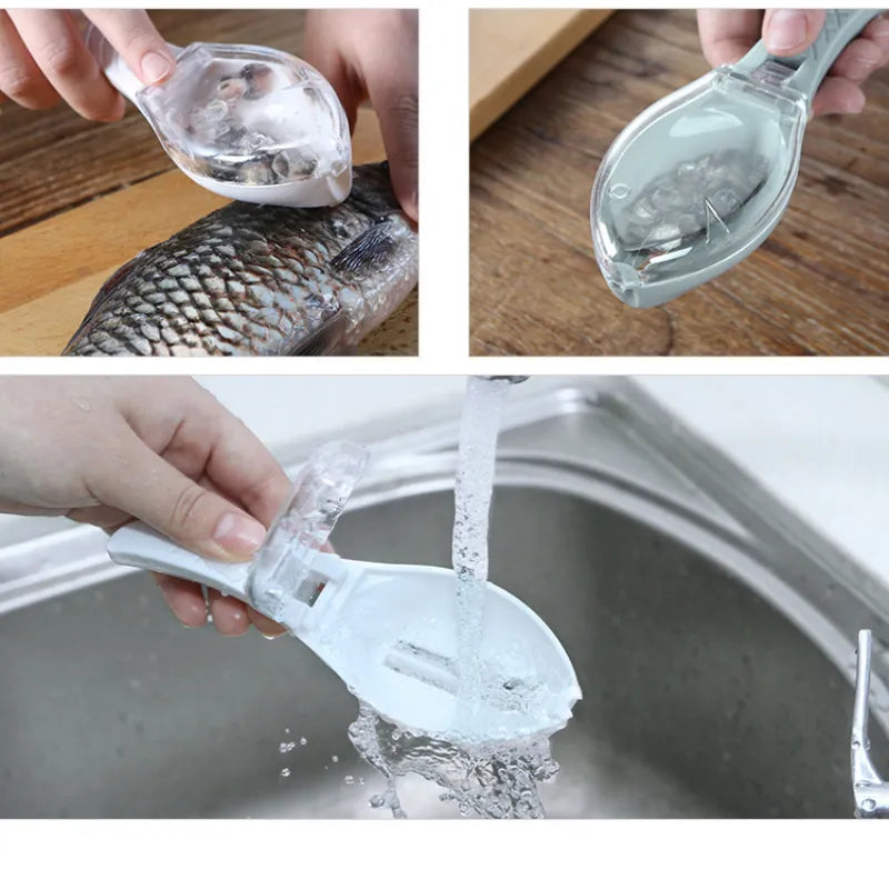 RaspFish - Raspador de Escama de Peixe Profissional